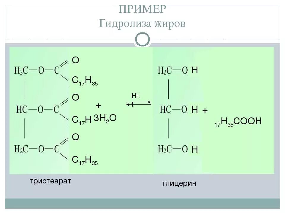 Сложные эфиры жиры гидролиз. Омыление тристеарата глицерина. Гидролиз сложных эфиров и жиров. Жиры примеры. Реакция гидролиза тристеарата