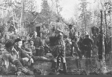 Партизан узловая