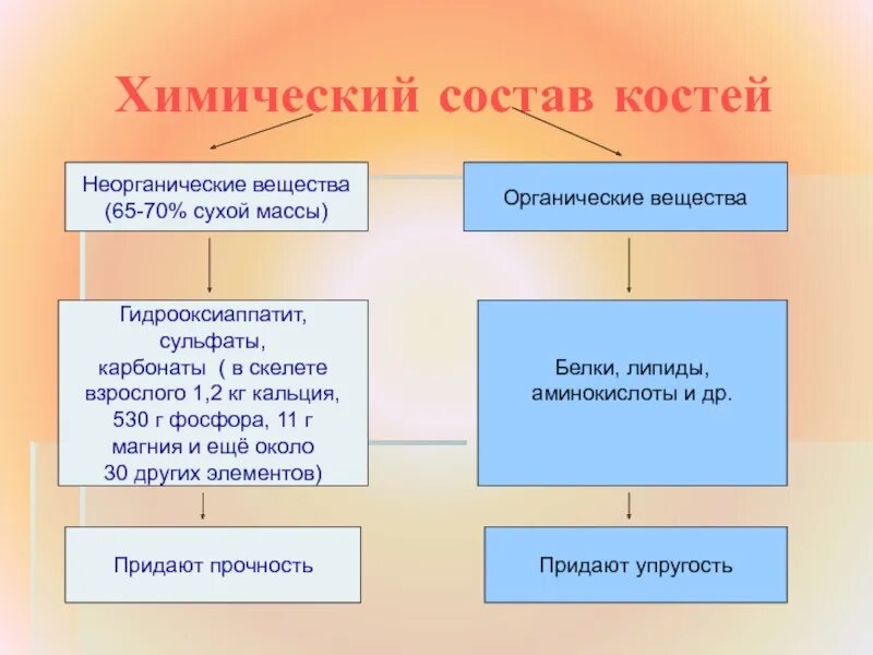 Какое свойство придают костям минеральные вещества. Химический состав кости. Состав костей. Химический состав Косте. Химический состав костей неорганика.