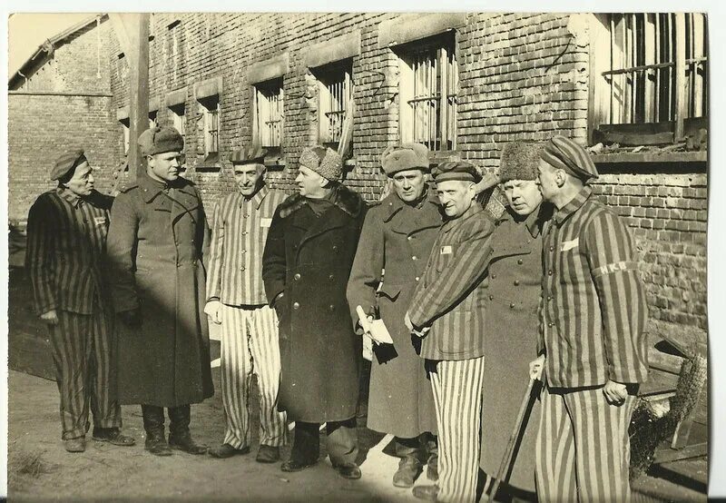 Биркенау освобождение. Аушвиц биркенау освобождение. 27 января 1945 освобождение узников концлагеря освенцим. Освобождение лагеря аушвиц. Освобождение узников освенцима 1945.