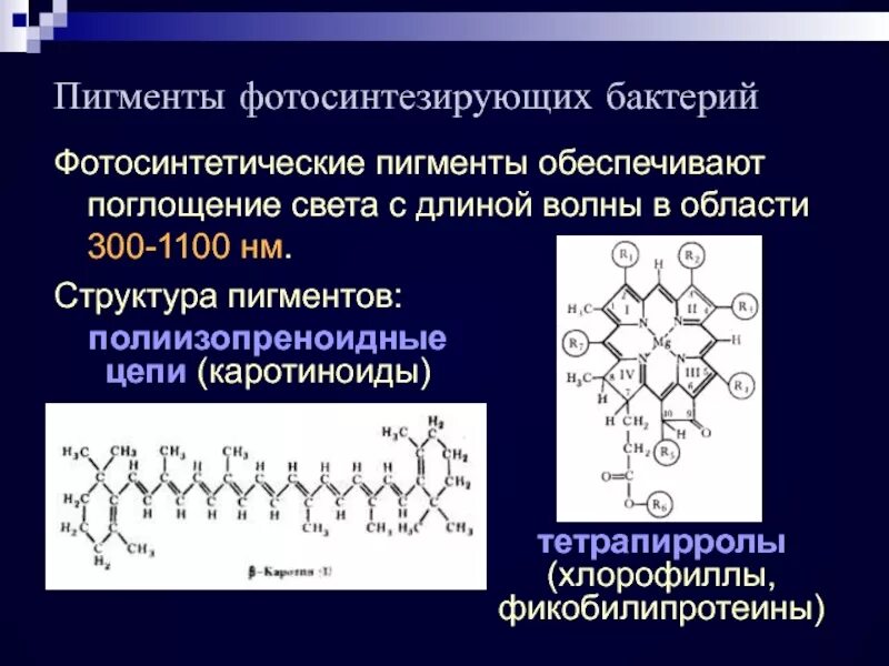 Строение пигментов. Структура пигмента. Пигменты химическая структура. Пигменты фотосинтезирующих бактерий.