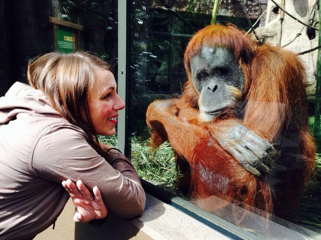 Приколы со статуями и памятниками. Фото охота на животных в дикой природе. Фотографы с дикими животными. Нестандартные ситуации прикол. Необычные ситуации.