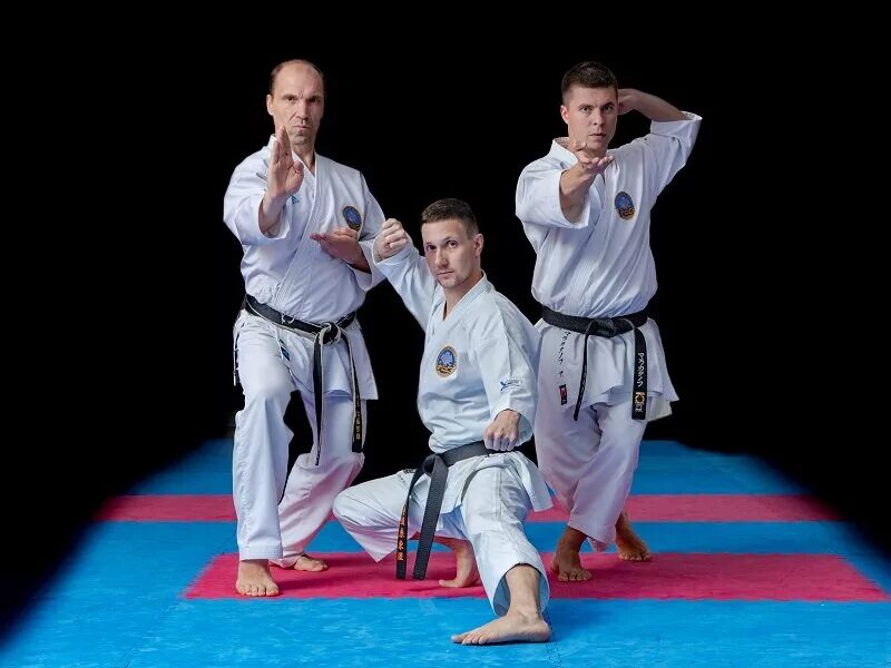 окинава годзю рю кишимото. вадо-рю боевые искусства японии. боевые искусства новгород. стиль вадо рю каратэ. спорт карате.