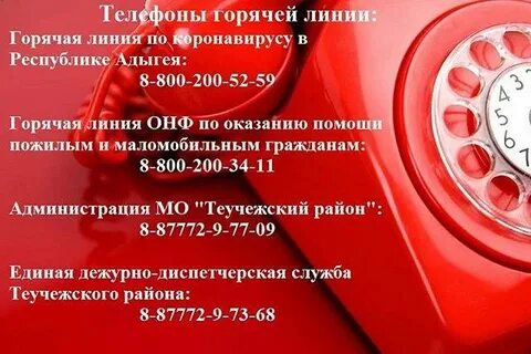 Телефон горячей линии н новгород