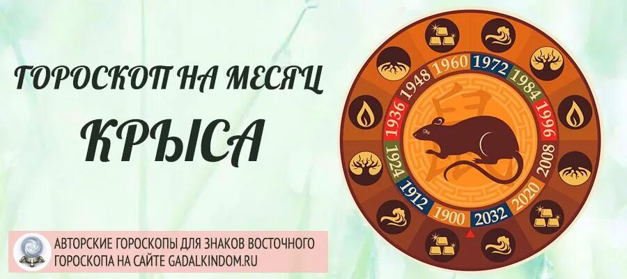 Стрелец крыса гороскоп. Восточный гороскоп. символы восточного календаря. лошадь гороскоп. коза гороскоп.