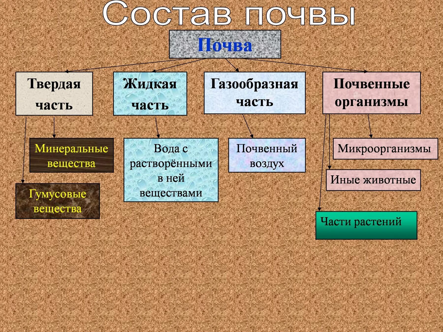 Почва урок географии 8 класс. Состав почвы схема твердая фаза. Состав почвы 8 класс география. Состав почвы схема 8 класс. Составные части почвы.