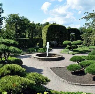 Der garten