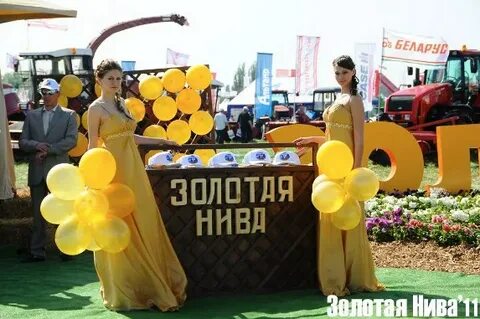Золотая нива песня