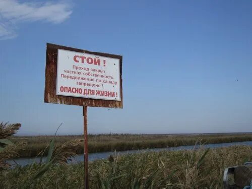 Красный конь. Хутор красный конь. Хутор красный конь. Хутор красный конь. Купание красного коня.