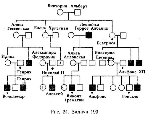Формы составление родословных