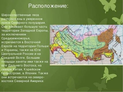 Лесные климатические зоны