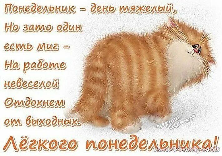 С понедельником хорошей недели. Статус про понедельник. Понедельник стихи. Понедельник стихи. Открытки прикольные для поднятия настроения.