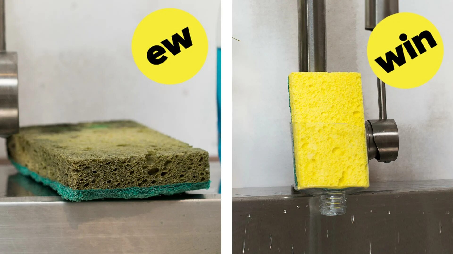 Dish Sponge. Hydrolyzed Sponge. Rohs Sponge. American Sponge for Cleaning. Sponge forge