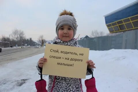 Стой водитель
