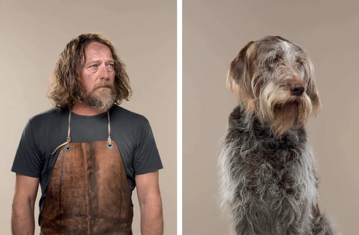 Собака которая выглядит как дед animali buffi Cerca con Google Old dogs, Elderly dogs, Ugly dogs