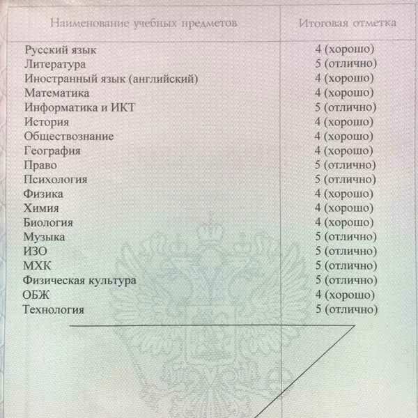 Купить аттестат за 9 класс fast diploma. Оценки аттестата после 9 класса. Оценки в аттестате предметы за 9. Аттестат оценки 2022. Аттестат 11 класс оценки.