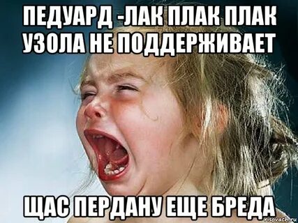Включи плак плак