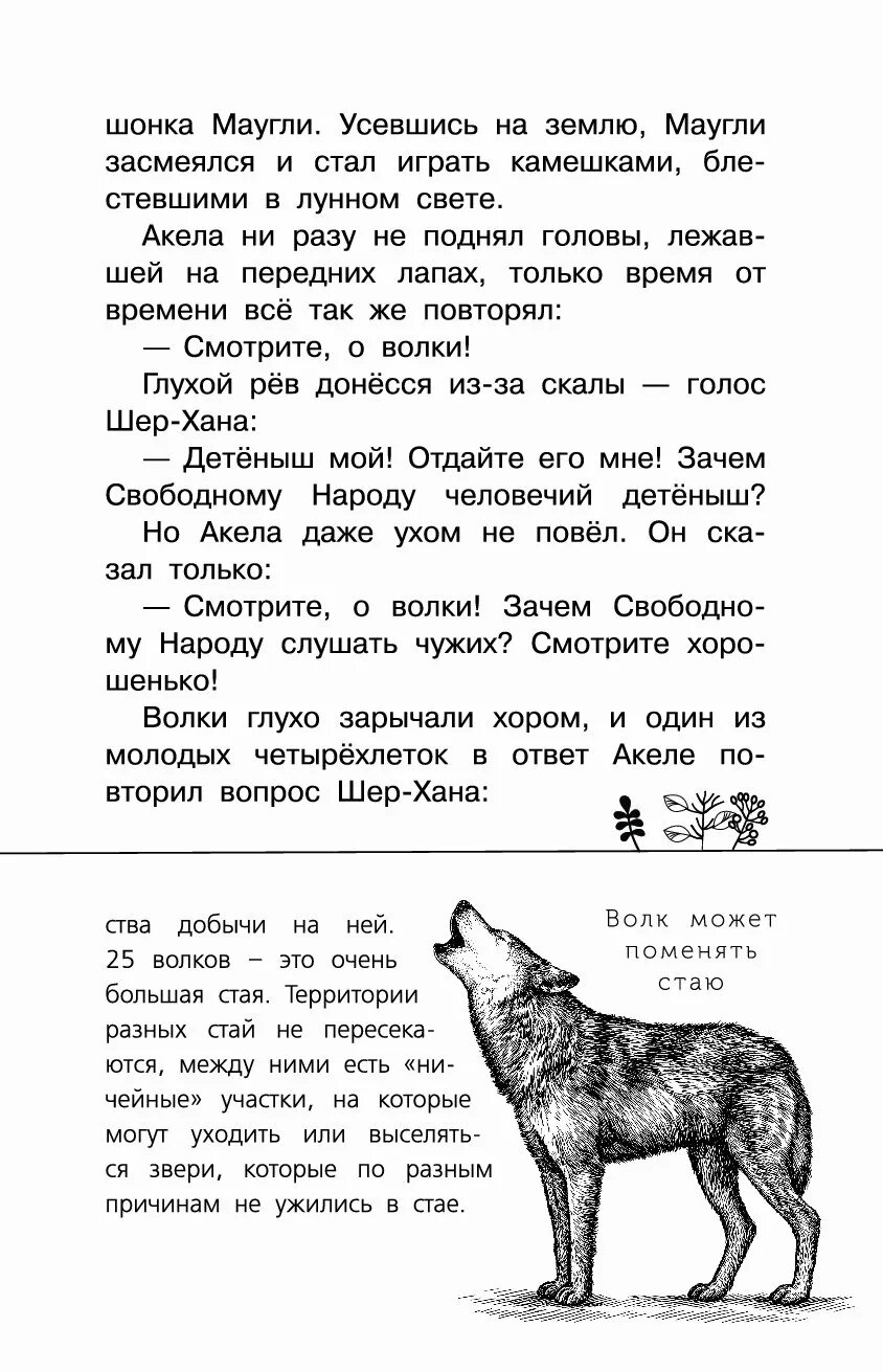 Вопросы по маугли с ответами. Текст песни тарантино ямаугли текст. Киплинг братья маугли. Маугли текст песни. Маугли текст песни.