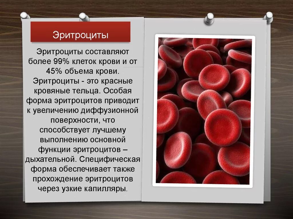 Что значат эритроциты в крови. Эритроциты функция форма строение. Строение и функции эритроцитов крови. Эритроциты в крови 5.0. Эритроциты ед измерения в крови.