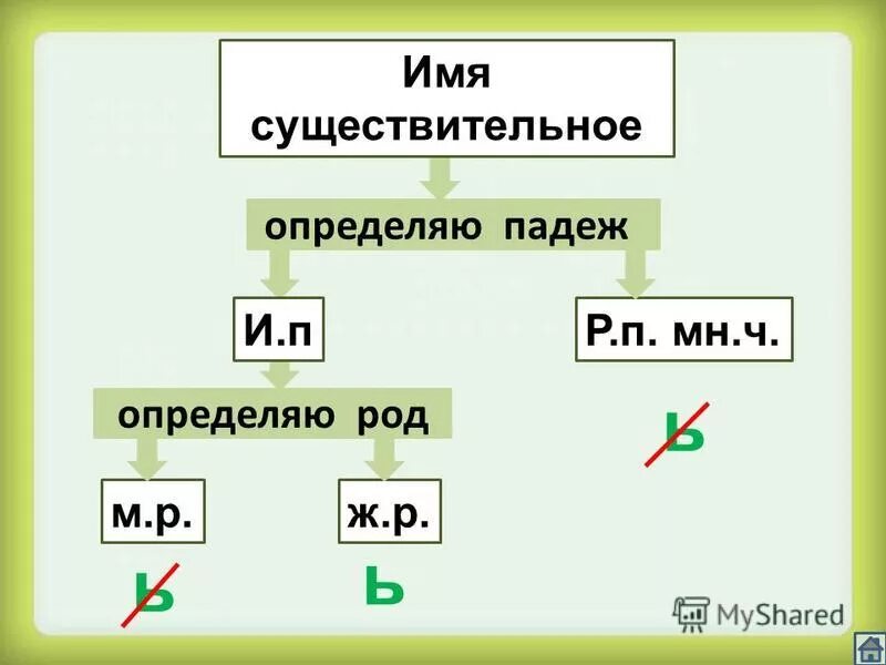 Написание ь в существительных. Мягкий знак после шипящих в существительных множественного числа. Правописание ь на конце существительных после шипящих.