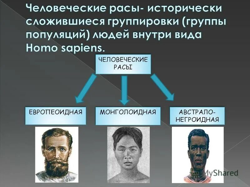 представители рас. форма глаз у негроидной расы. расы европеоидная монголоидная экваториальная. расы и их происхождение. какие большие расы выделяют внутри человек разумный.