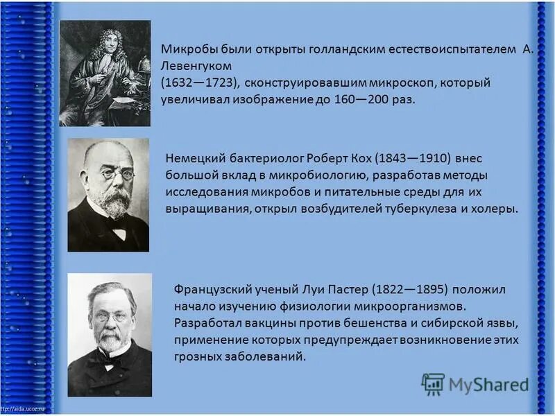Ученый внесший большой вклад в микробиологию. Ученый внесший большой вклад в микробиологию