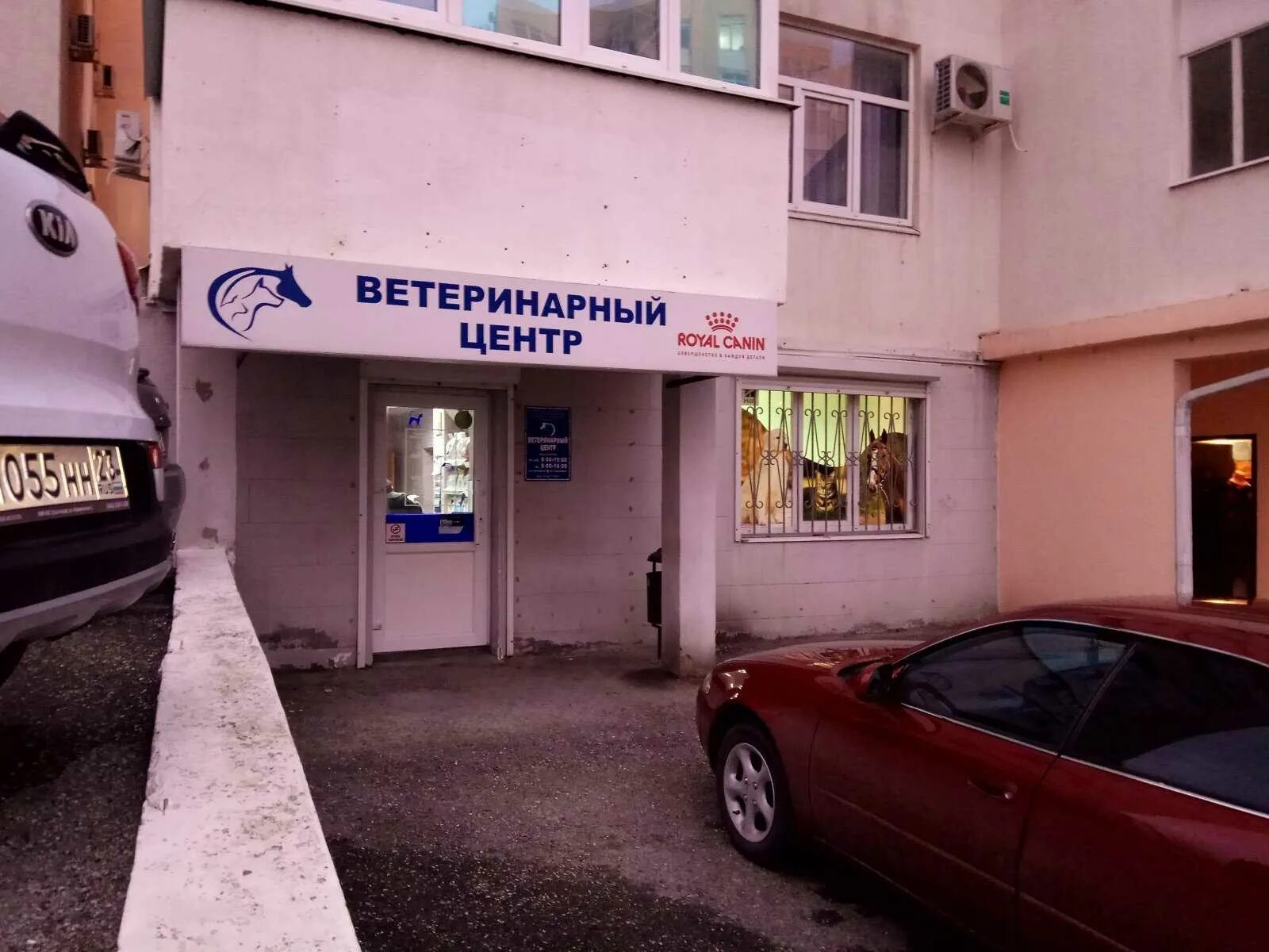 Ветеринарная грибоедова. Ветеринарная клиника ветеринарный центр — Грибоедова, 62.