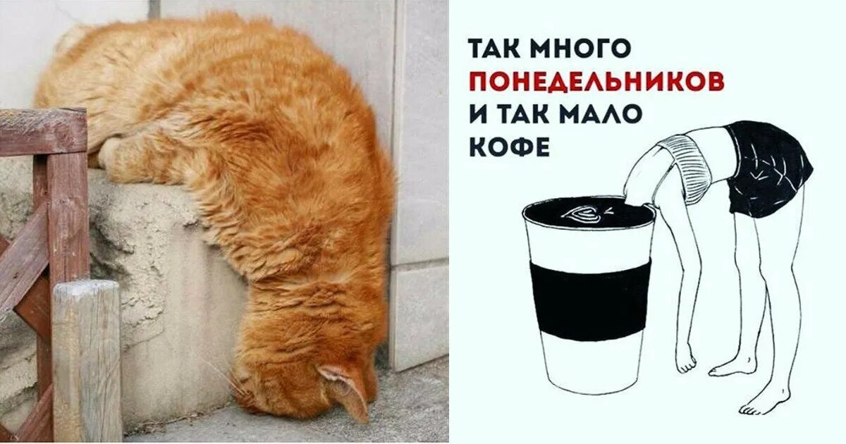 Новая жизнь с понедельника. Вторник приколы. Дела понедельника. Дела понедельника. Нам бы понедельники взять и ртмееитт.