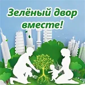 Вместе двор