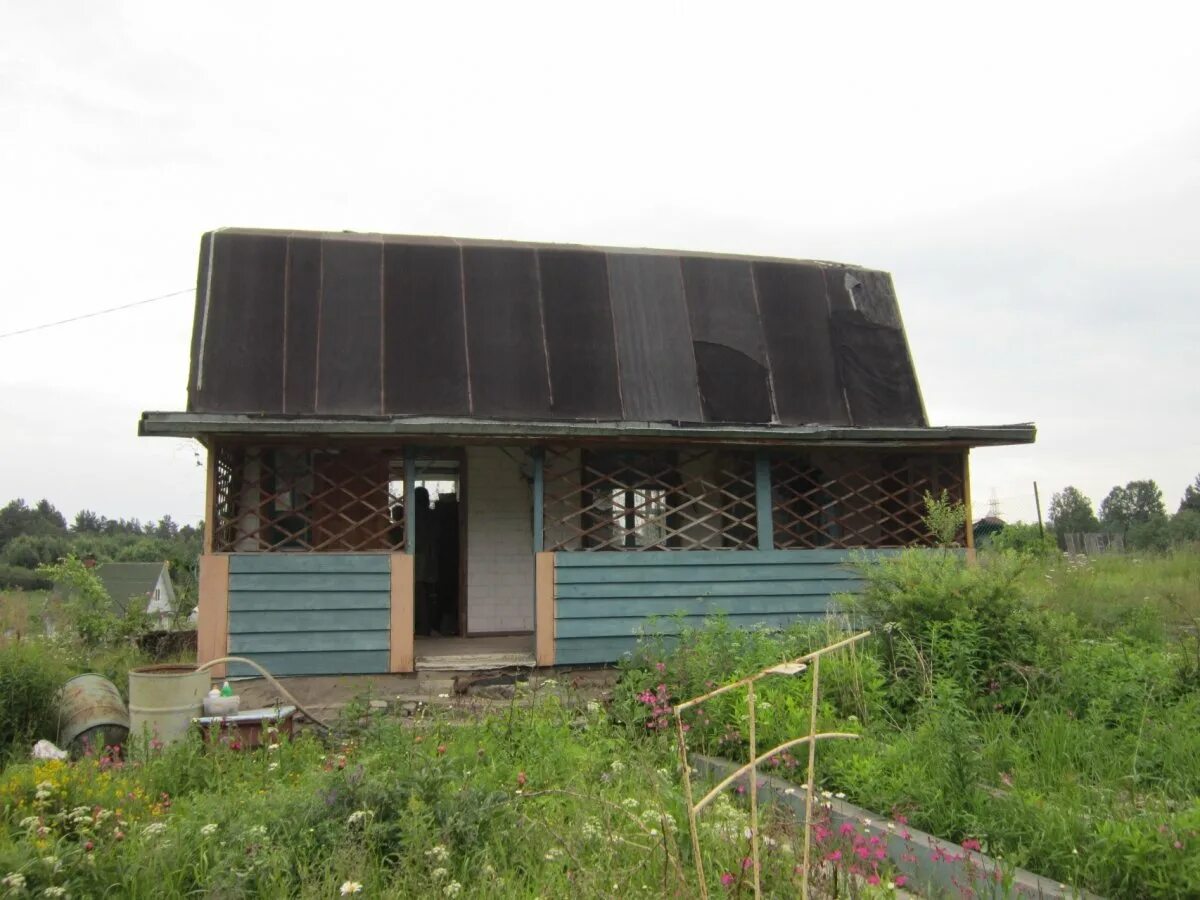 Погода в кузнечном ленинградской области на неделю. Ленинградская область, Приозерский район, пос. кузнечное. Поселок кузнечное Приозерский. Школа кузнечное Приозерский район. Городской посёлок кузнечное.