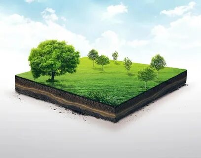 Piece of land