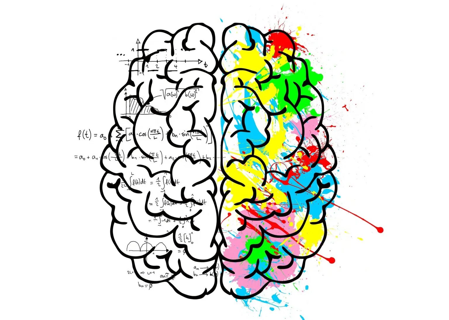 Полушария мозга. Левое полушарие. Левое полушарие мозга. Левое и правое полушарие мозга.