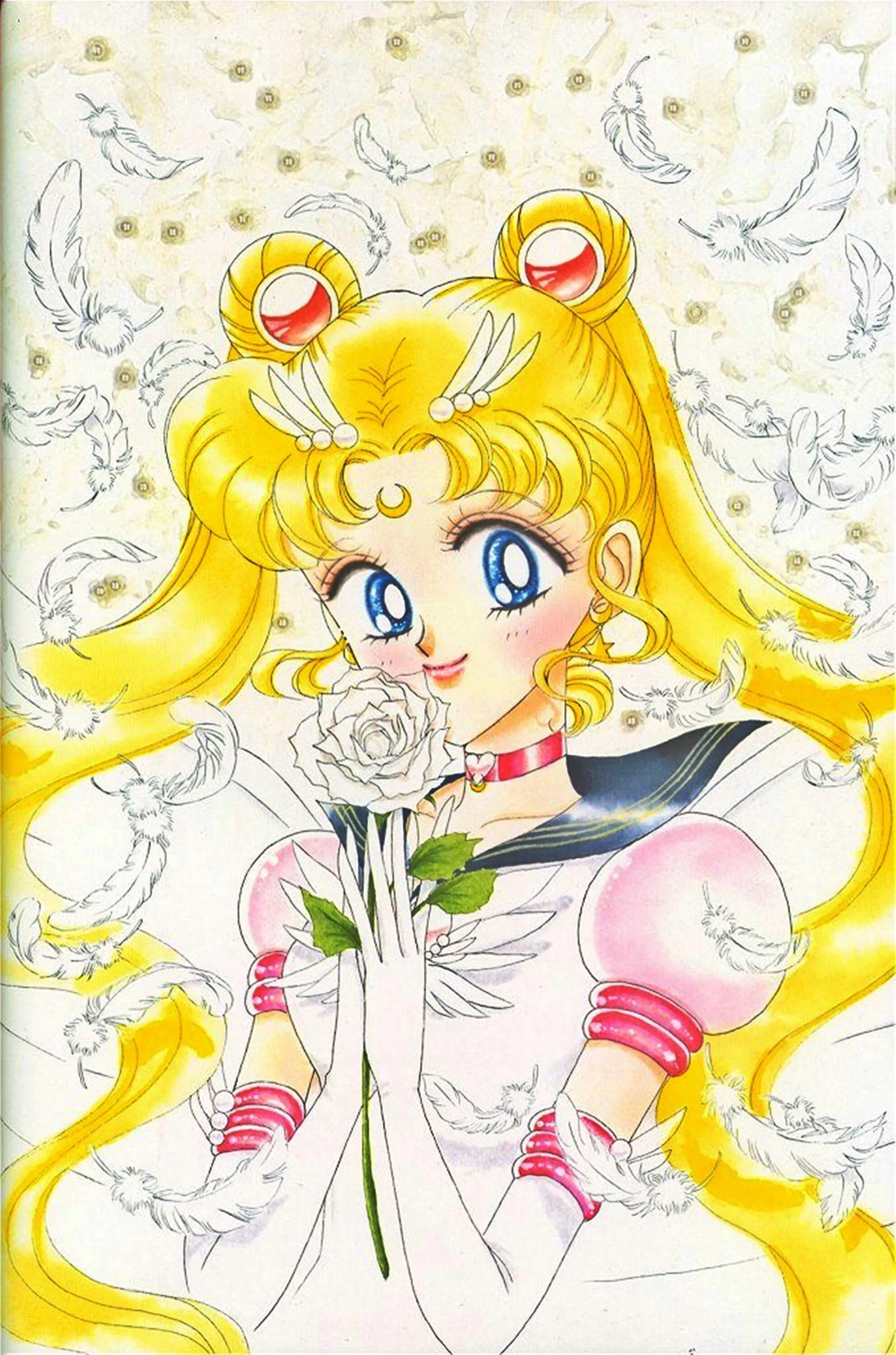 Сейлормун. Усаги Цукино. Наоко Такэути Sailor Moon. Наоко сейлормун.