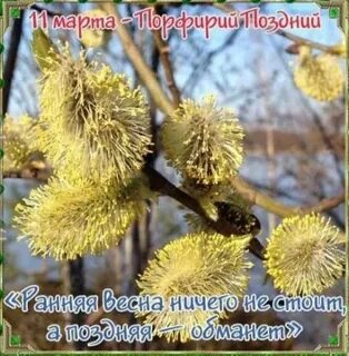 Народный календарь 11 июня 2024