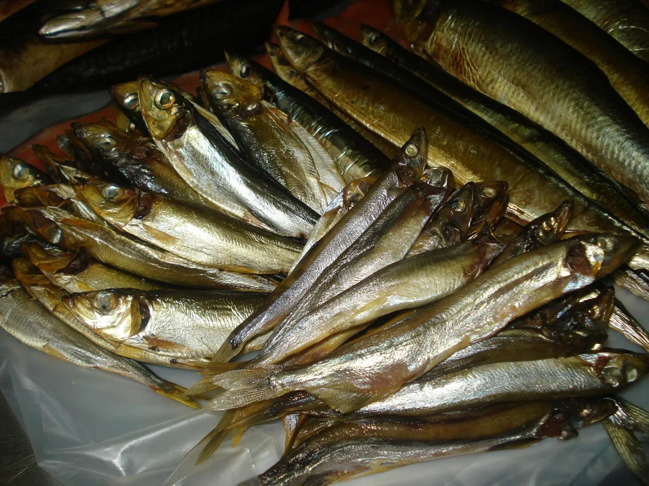 Салака холодного копчения. Копчение салаки. Салака горячего копчения. Салака рыба копченая. Салака горячего копчения.