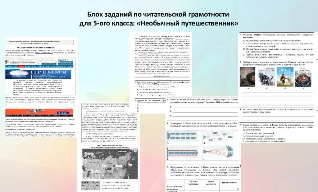 Банк электронных заданий по функциональной грамотности. Задачи по читательской грамотности. Задания по читательской грамотности. Задания по формированию функциональной читательской грамотности. Задания на развитие читательской грамотности.