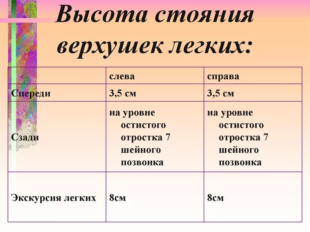 Верхушки легких в норме. Высота стояния верхушек легких. Вычотастоянияверхушек легких. Норма стояния верхушек легких.