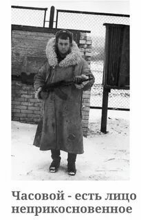 Часовой ело