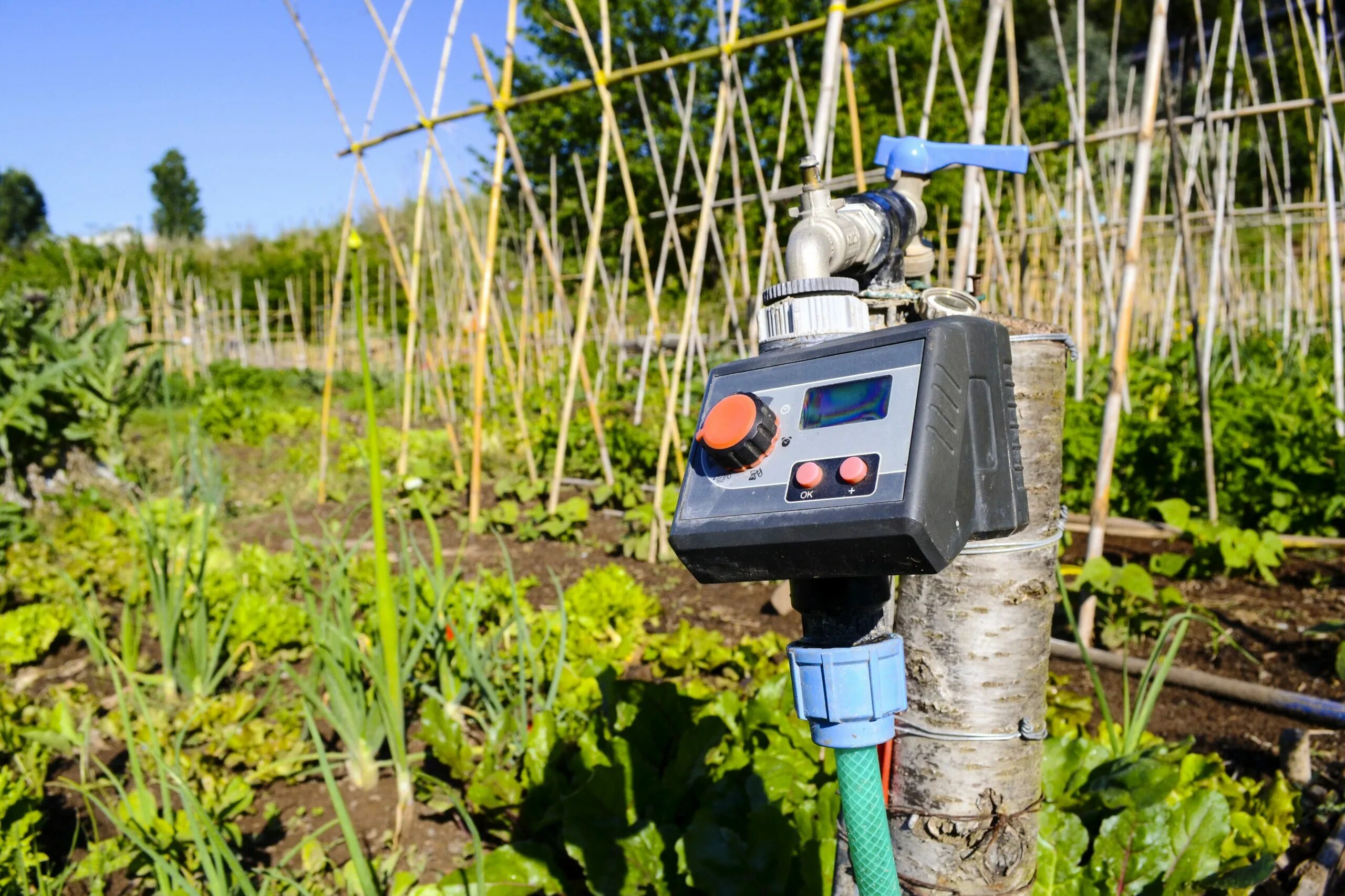Automatic irrigation