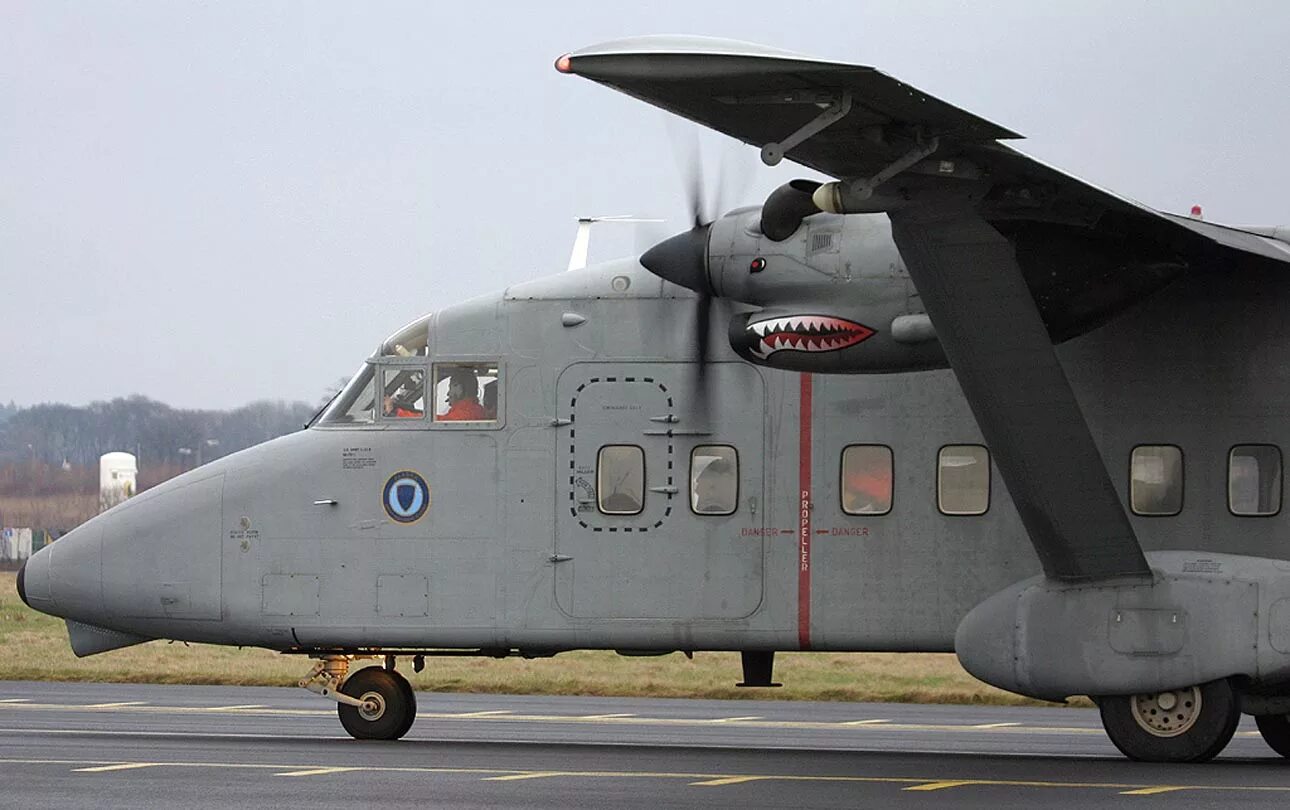 Шорты adidas neo cargo shorts. Short c. Sherpa 2 самолет. Short c. C-23 «шерпа».