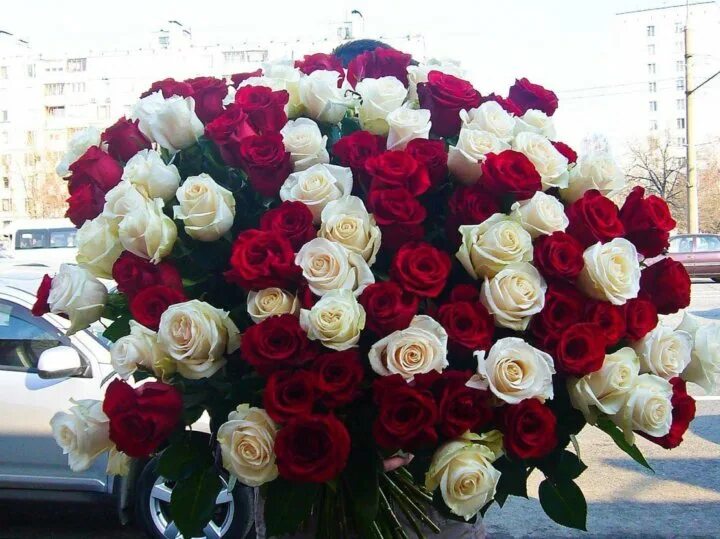 букет "большой". букет был огромный. самый красивый букет. букет был огромный. гигантский букет цветов.