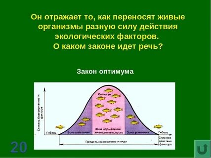 Роль света в жизни живых организмов