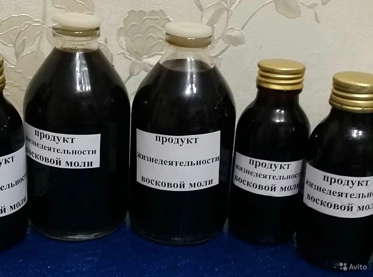 Пжвм восковой моли. Экстракт пжвм восковой моли. пжвм настойка восковой моли. огневка пжвм. настойка восковой моли этикетка.