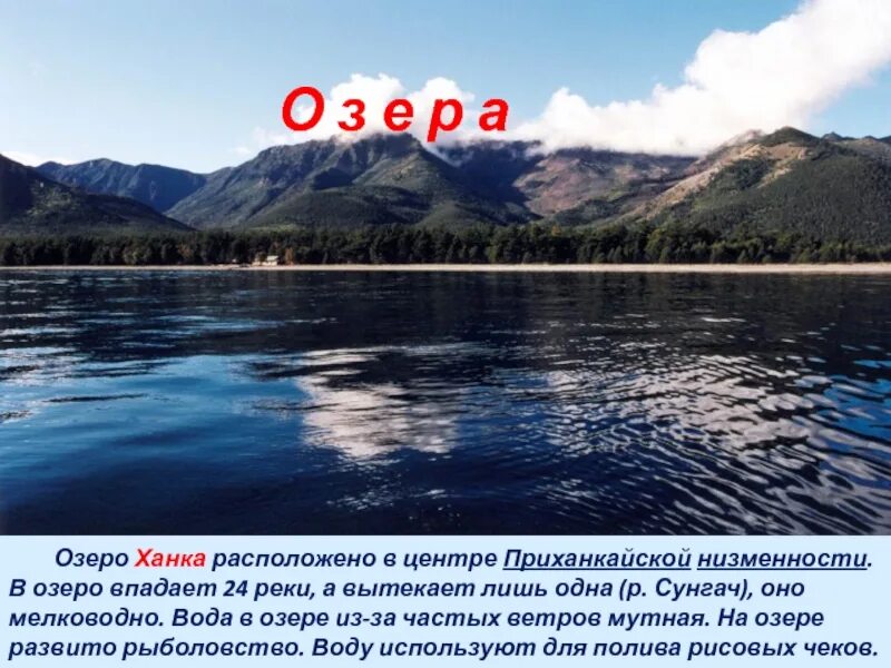 Значение озера ханка. Что впадает в озеро. Приморские водоемы. Сообщение о водоемах Приморского края. Реки и озера Приморского края.