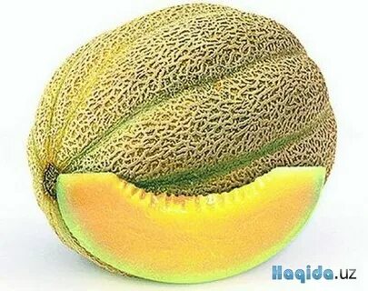 Дыня сережкина