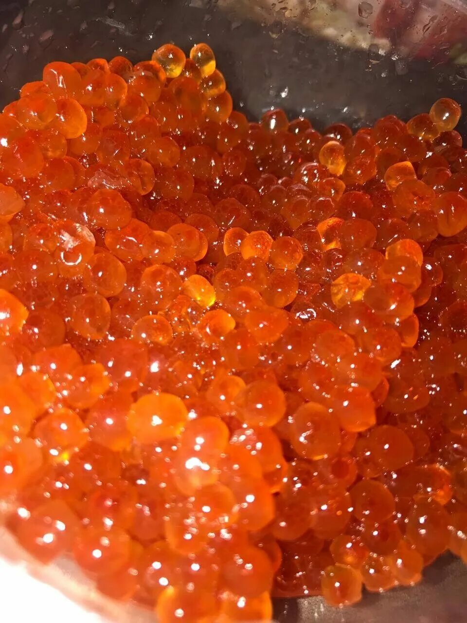 икра 251022 кета 850. икра кеты. как выглядит икра кеты настоящая. как выглядит икра кеты настоящая. как выглядит икра кеты настоящая.