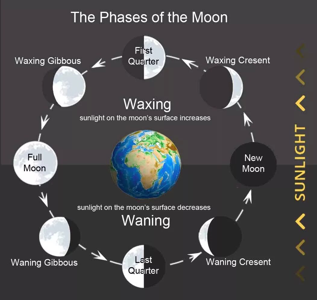 Current phase of the moon. Moon phases. moon cycle. фазы луны phases of the moon. фазы луны на английском.