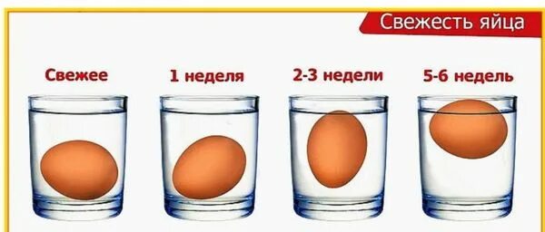 Как определить свежесть куриного яйца. Свежее яйцо всплывает в воде. Как узнать свежесть яиц. Свежее яйцо.