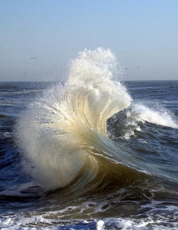 Ветер волны раздувает. Море, волны. Море Прибой. Сильные волны. Волны Прибой.