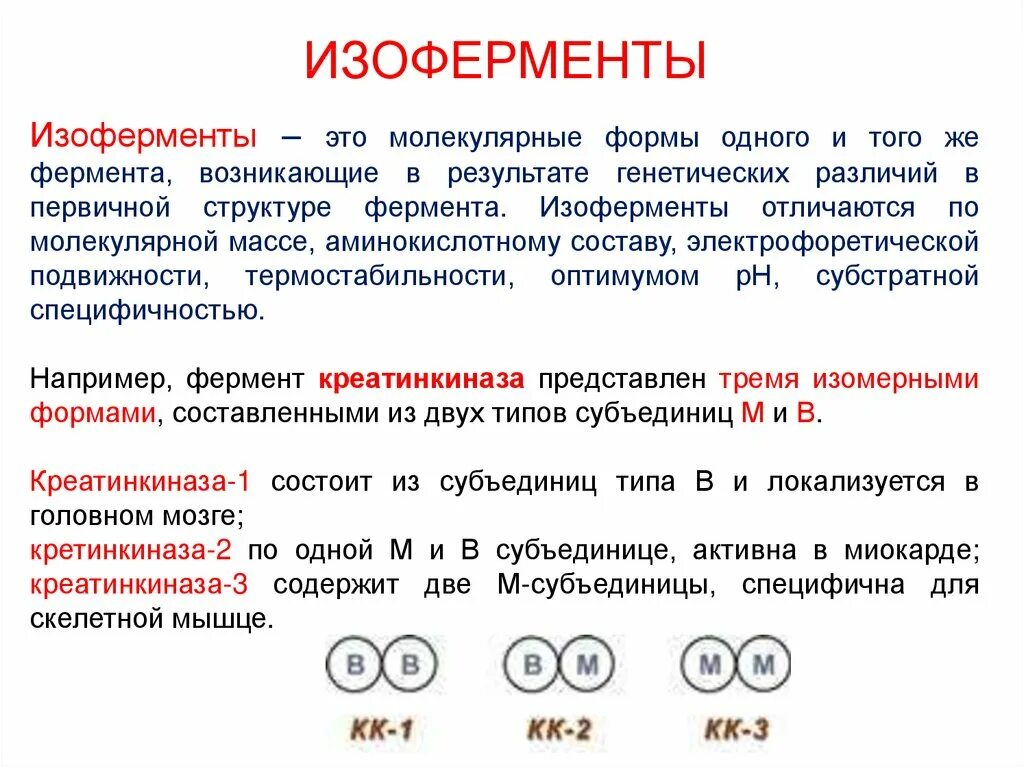 Ферменты изоферменты. Изоферменты. Проферменты изоферменты. Изоферменты лактатдегидрогеназы локализация. Изоферменты примеры биохимия.